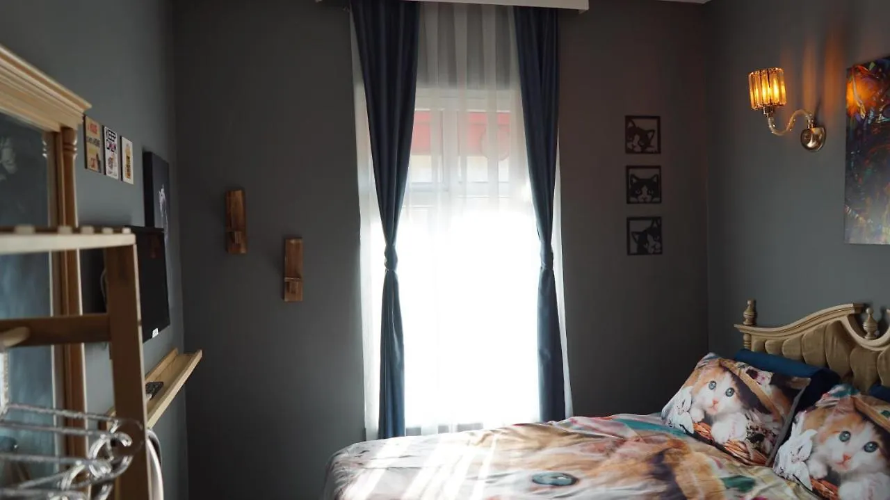 Galata Design Hotel اسطنبول تركيا